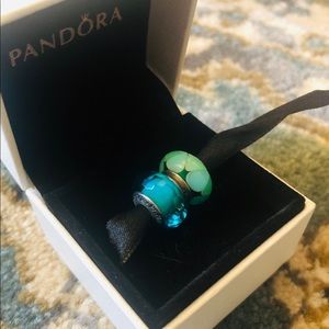 Set of 2 Authentic Pandora Murano Glass Beads